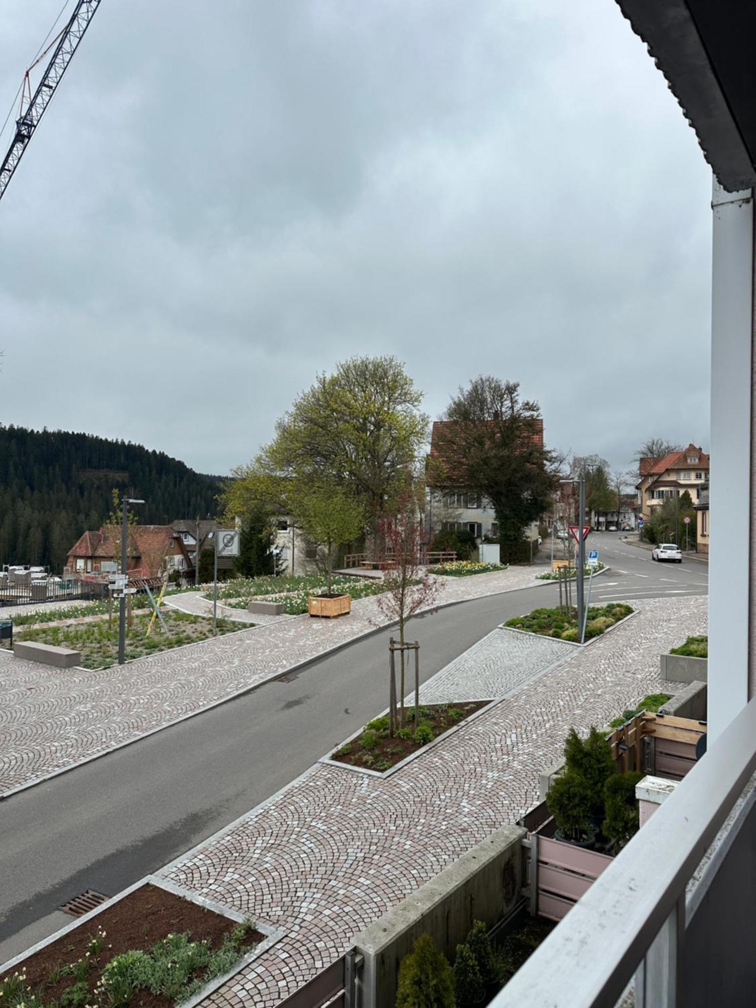 Schwarzwald Studio フロイデンシュタット エクステリア 写真
